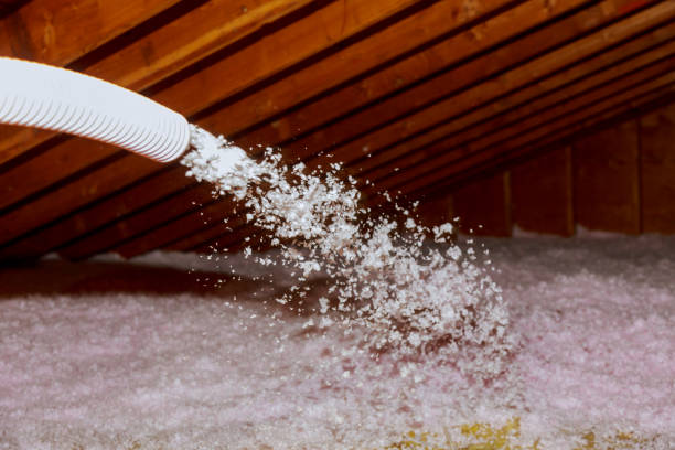 Best Cellulose Insulation  in Orient, NY
