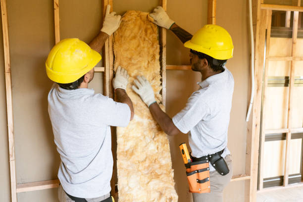 Best Insulation for New Construction  in Orient, NY